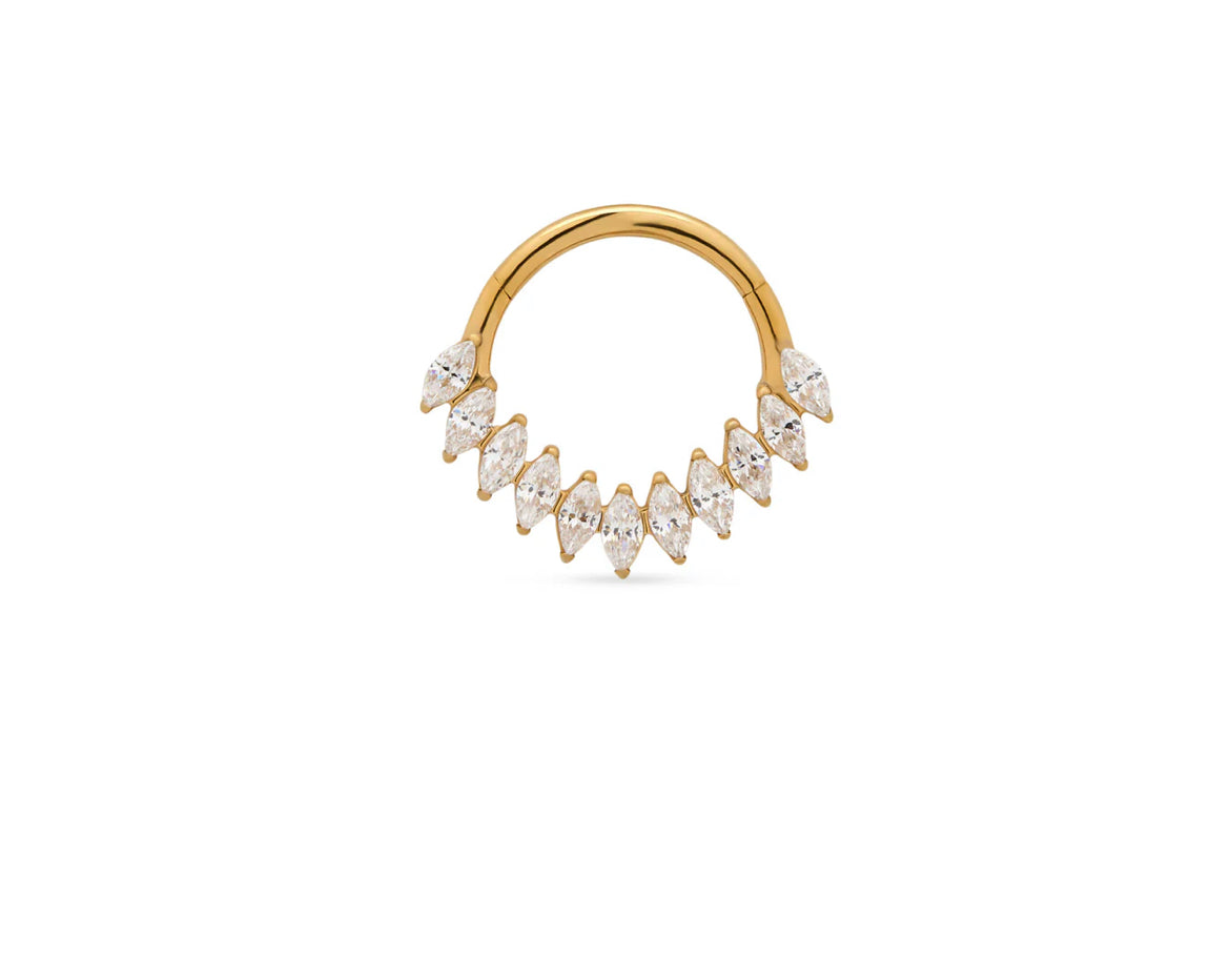 Wing Daith Titanium Hinge Rings