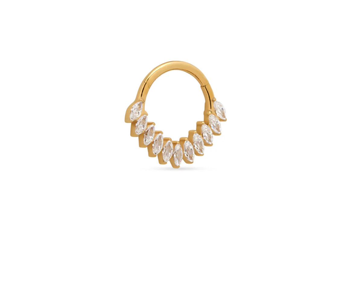Wing Daith Titanium Hinge Rings